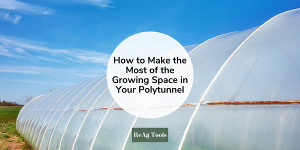 How to Make the Most of the Growing Space in Your Polytunnel