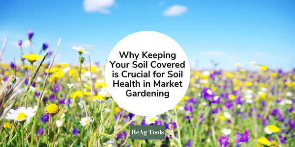 Why Keeping Your Soil Covered is Crucial for Soil Health in Market Gardening