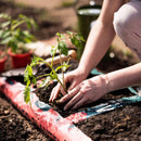 Rocket Gro Tomato & Veg Planter Grow Bag