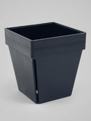 Winstrip XL Pot