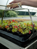 Winstrip XL Pot