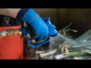Terrateck Vegetable Cleaning Gun