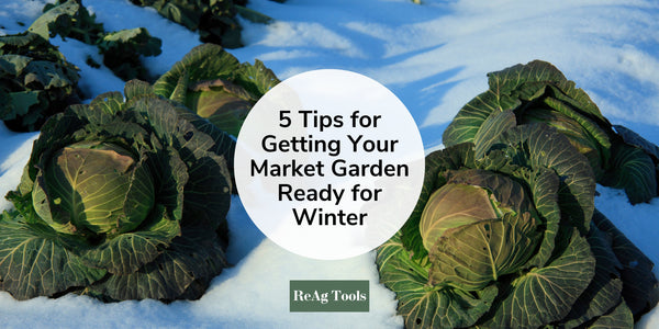 5 Tips for Getting Your Market Garden Ready for Winter