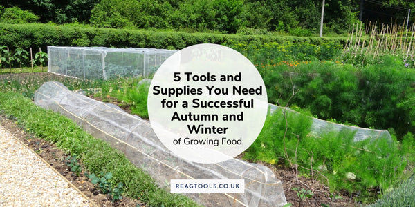 5 Tools and Supplies You Need for a Successful Autumn and Winter of Growing Food