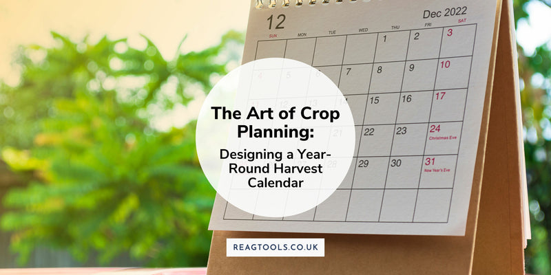 The Art of Crop Planning: Designing a Year-Round Harvest Calendar
