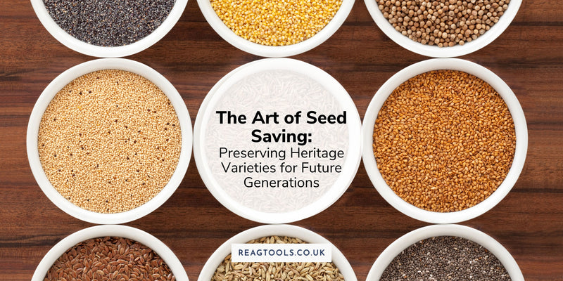 Art of Seed Saving