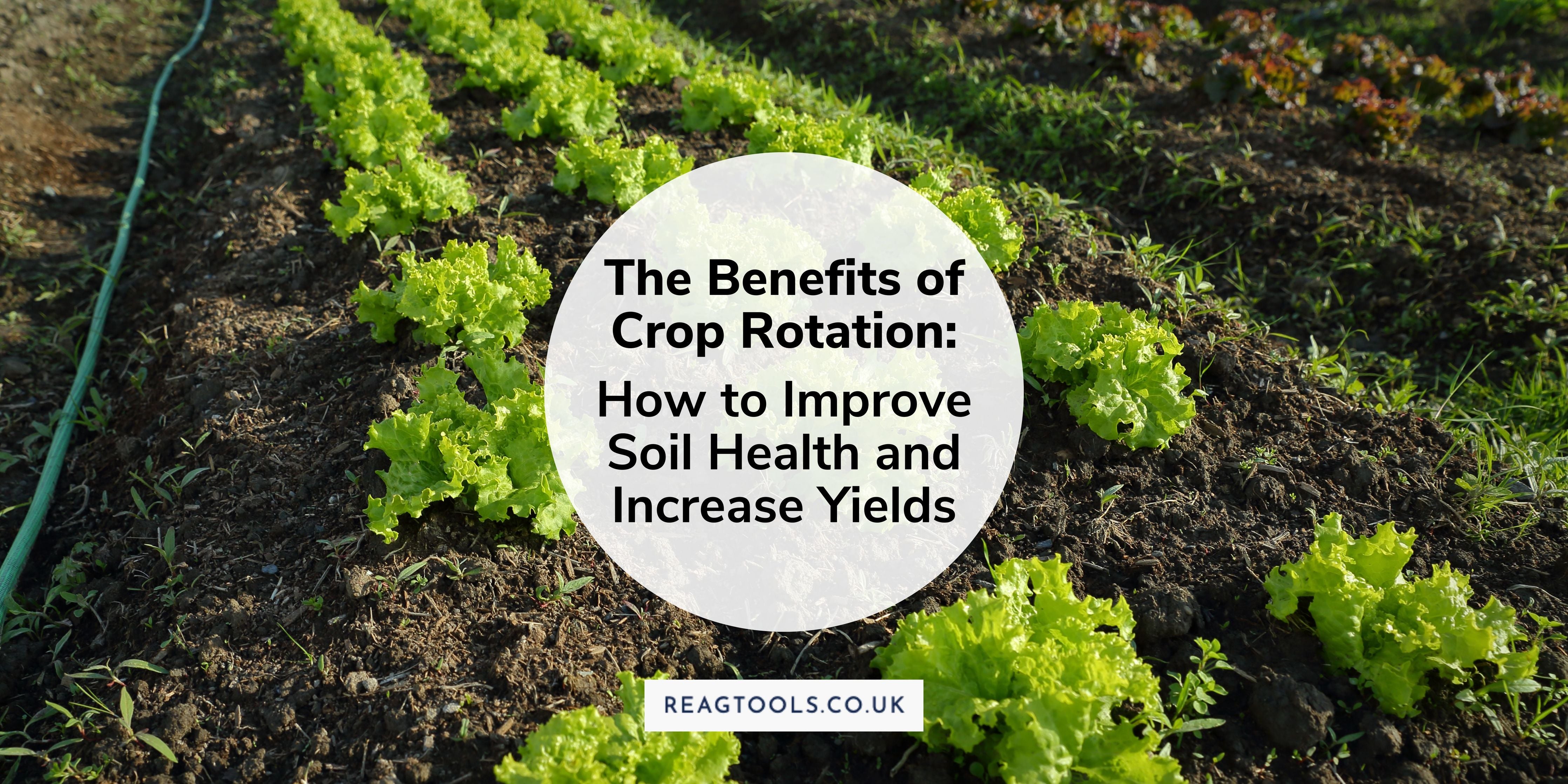 The Benefits of Crop Rotation: How to Improve Soil Health and Increase