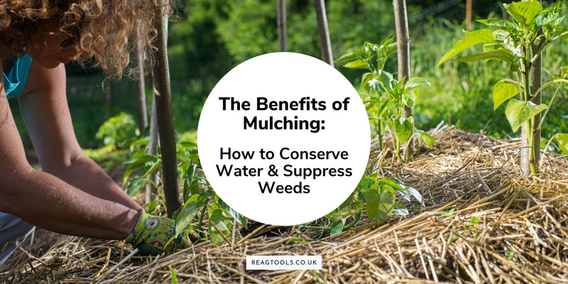 The Benefits of Mulching: How to Conserve Water and Suppress Weeds in Your Garden