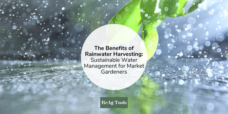 The Benefits of Rainwater Harvesting: Sustainable Water Management for Market Gardeners