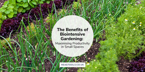 Biointensive Gardening