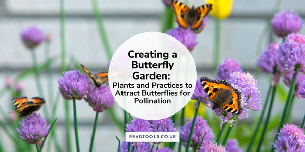 Creating a Butterfly Garden: Plants and Practices to Attract Butterflies for Pollination