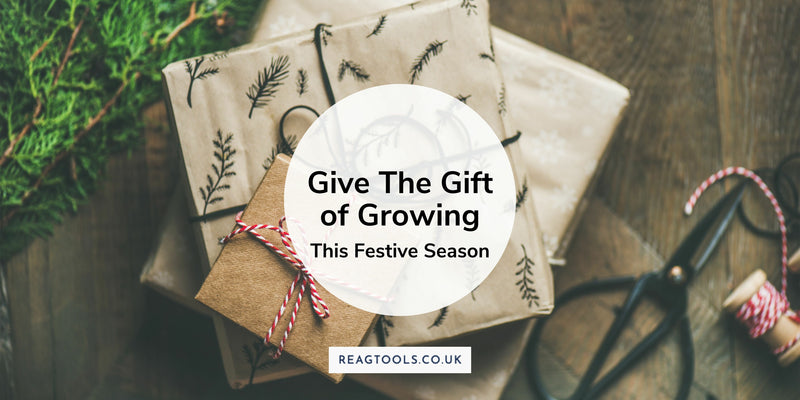 Give The Gift of Growing This Festive Season