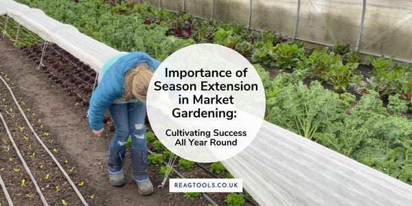 The Importance of Season Extension in Market Gardening: Cultivating Success All Year Round