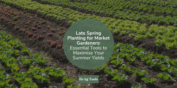 Late Spring Planting for Market Gardeners: Essential Tools to Maximise Your Summer Yields