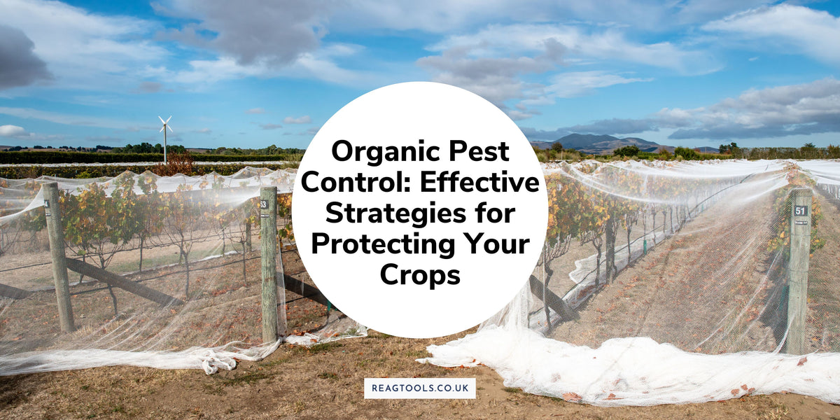 Organic Pest Control: Effective Strategies for Protecting Your Crops interconnectedness of