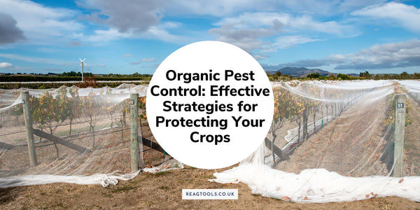 Organic Pest Control: Effective Strategies for Protecting Your Crops