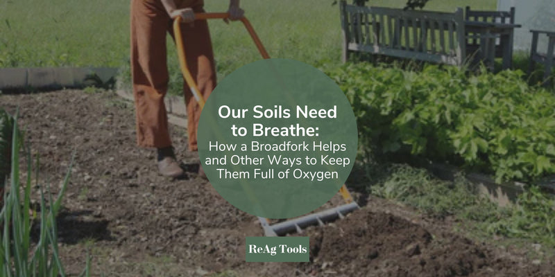 Our Soils Need to Breathe: How a Broadfork Helps and Other Ways to Keep Them Full of Oxygen