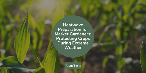 Heatwave Preparation for Market Gardeners: Protecting Crops During Extreme Weather