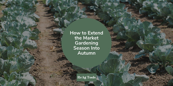 How to Extend the Market Gardening Season Into Autumn