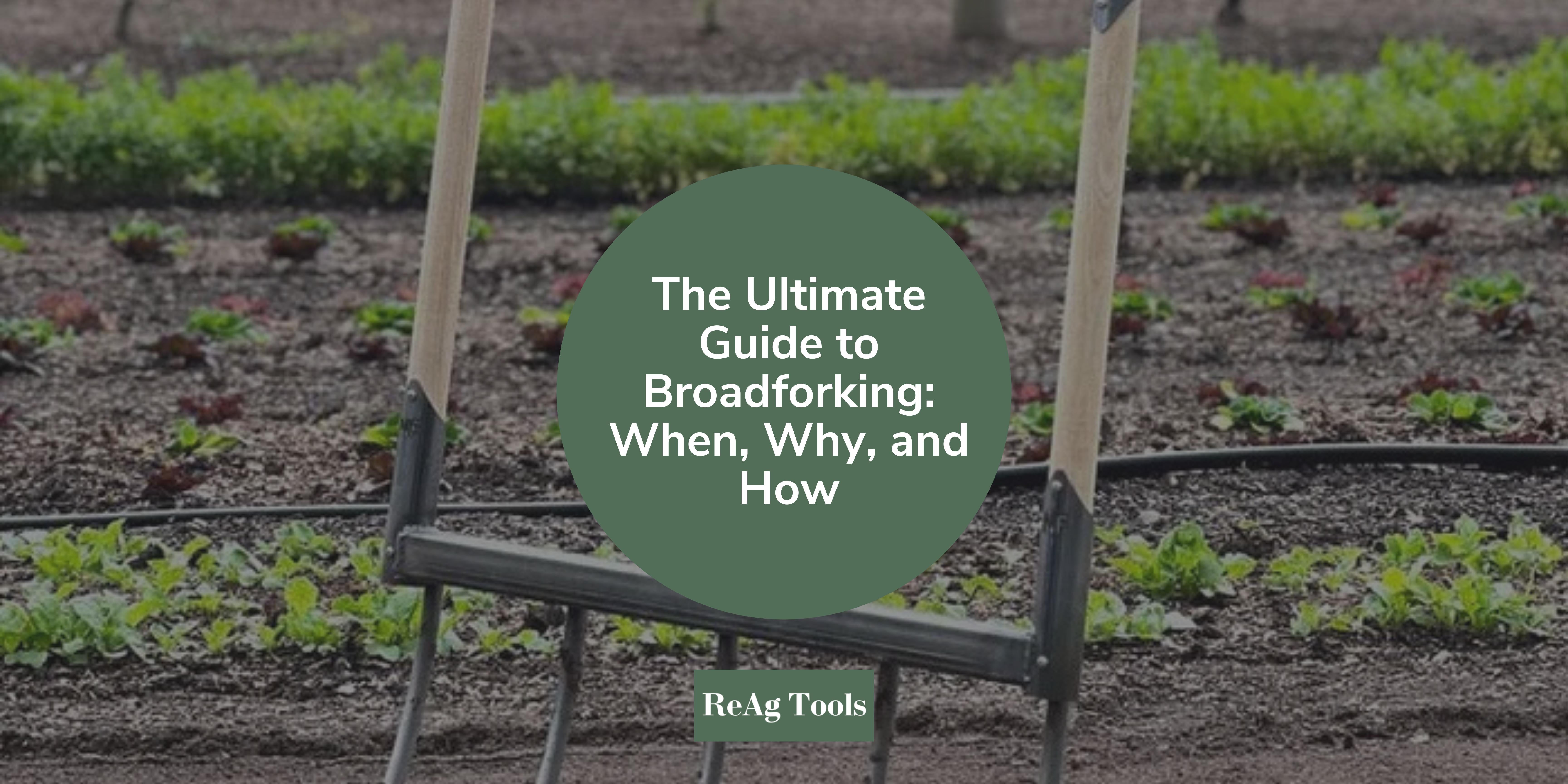 Broadforking The Ultimate Guide to Broadforking: When, Why, and How