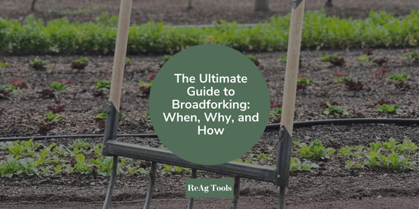 The Ultimate Guide to Broadforking: When, Why, and How