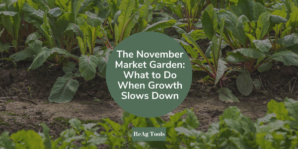 The November Market Garden: What to Do When Growth Slows Down