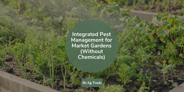 Integrated Pest Management for Market Gardens (Without Chemicals)