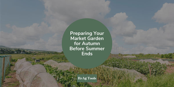 Preparing Your Market Garden for Autumn Before Summer Ends