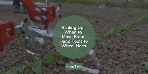 Scaling Up: When to Move From Hand Tools to Wheel Hoes