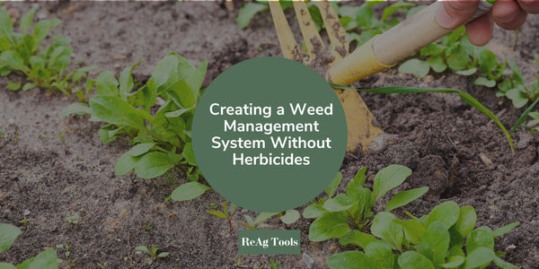 Creating a Weed Management System Without Herbicides