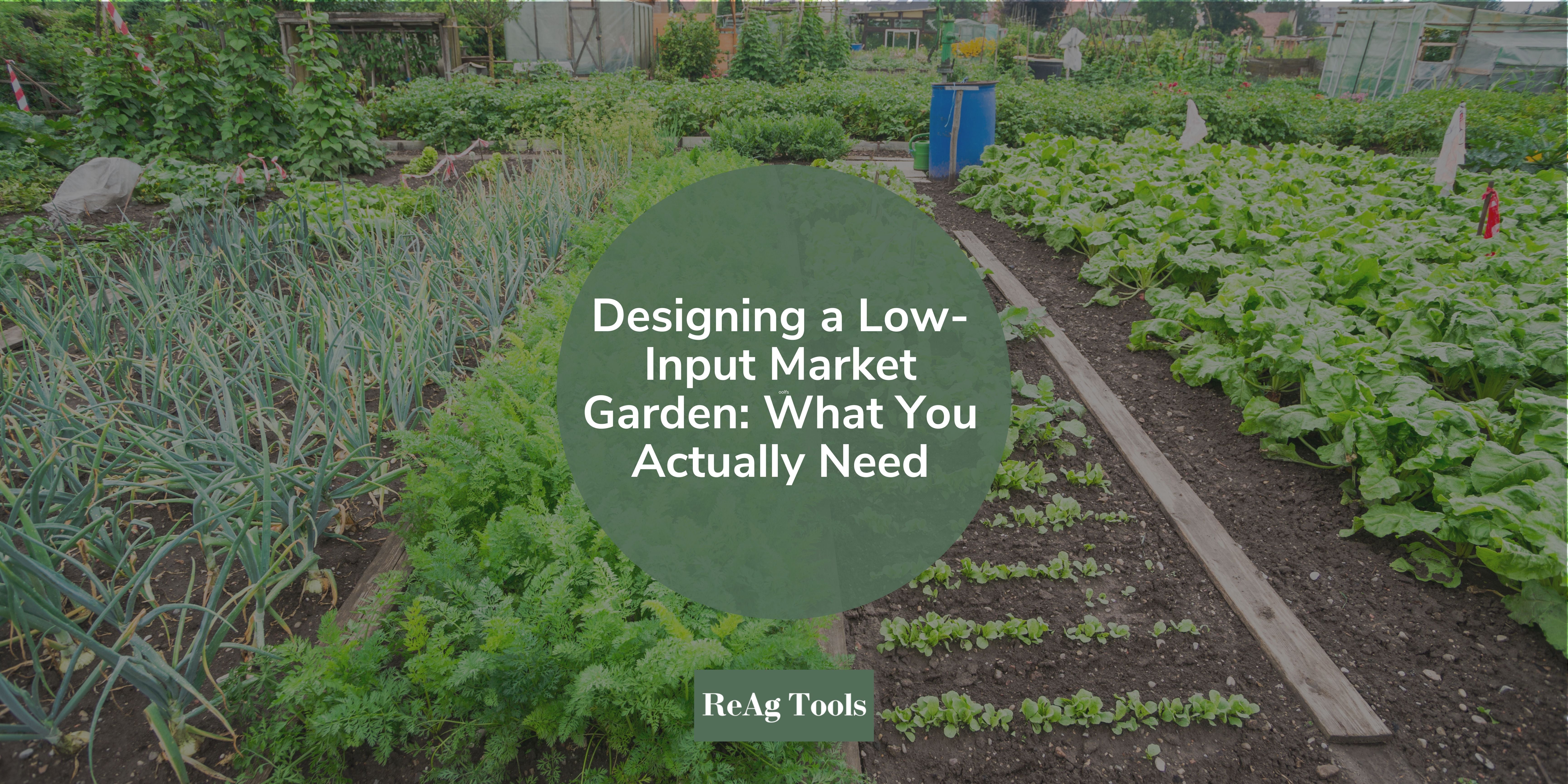 Designing a Low-Input Market Garden: What You Actually Need