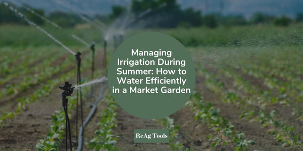Managing Irrigation During Summer: How to Water Efficiently in a Market Garden