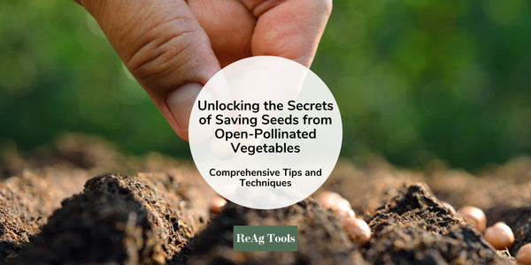 Unlocking the Secrets of Harvesting and Saving Seeds from Open-Pollinated Vegetables: Comprehensive Tips and Techniques
