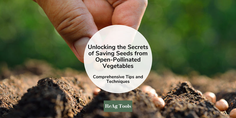 Unlocking the Secrets of Harvesting and Saving Seeds from Open-Pollinated Vegetables: Comprehensive Tips and Techniques
