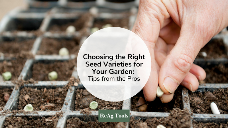 Choosing the Right Seed Varieties for Your Garden: Tips from the Pros