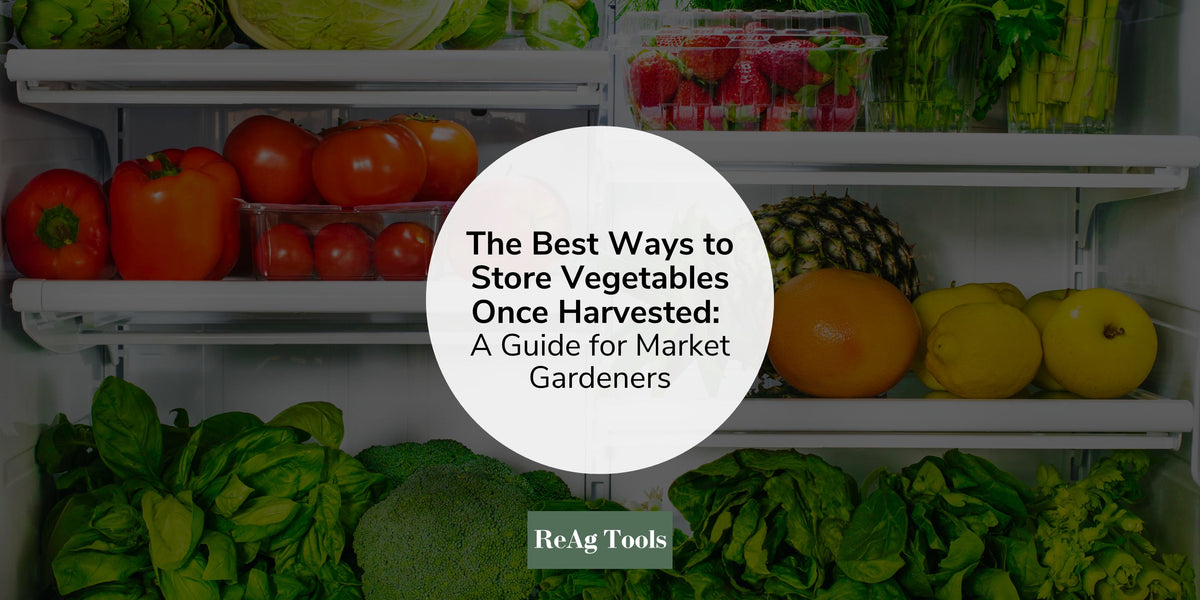 The Definitive Guide to Vegetable Coolers: Preserving Freshness and Extending Shelf Life () The Definitive Guide to Vegetable Coolers: Preserving Freshness and Extending Shelf Life