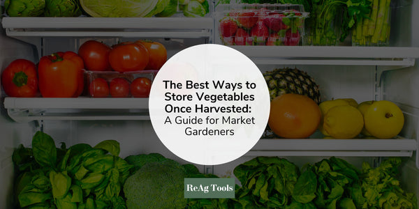 The Best Ways to Store Vegetables Once Harvested: A Guide for Market Gardeners