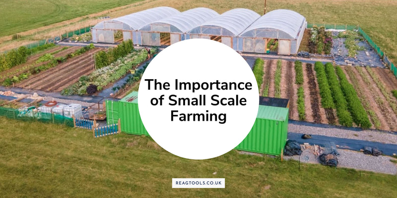 The Importance of Small Scale Farming