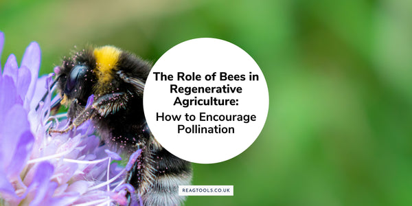 The Role of Bees in Regenerative Agriculture: How to Encourage Pollination