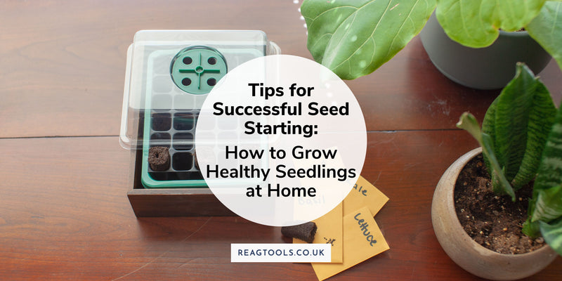 Tips for Successful Seed Starting: How to Grow Healthy Seedlings at Home