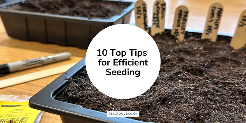 10 Top Tips for Efficient Seeding