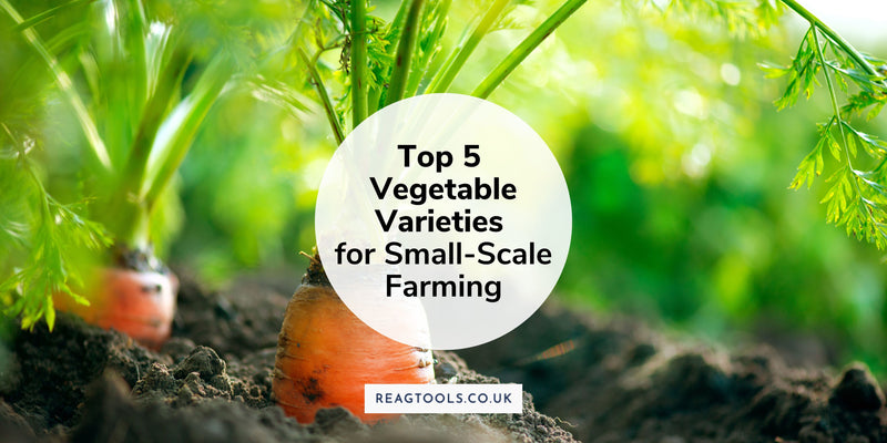 The Top 5 Vegetable Varieties for Small-Scale Farming