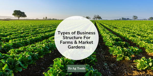 Types of Business Structure For Farms & Market Gardens