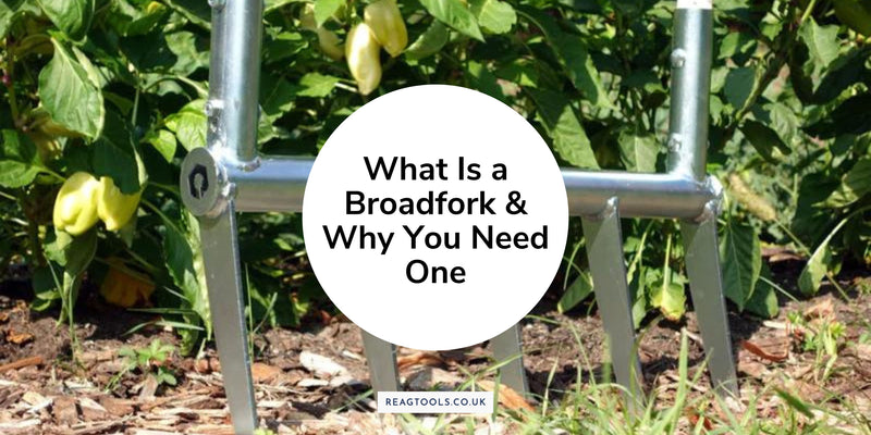 What's a Broadfork and Why You Need One