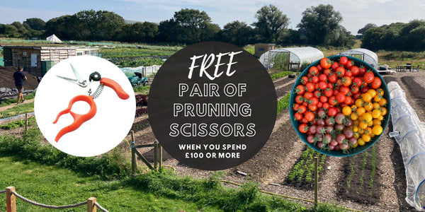 Free Pair of Pruning Scissors