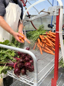 Bunch Washing Stand with Pedal