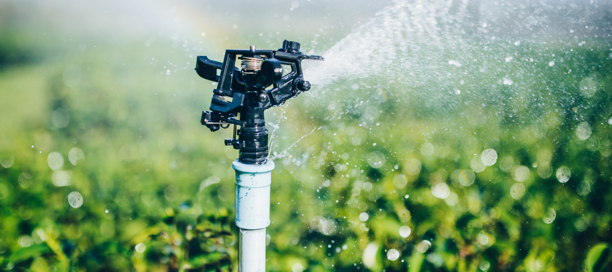 Tips For Setting Up Irrigation