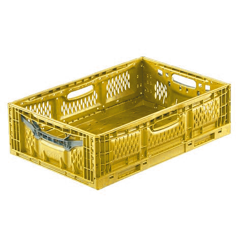 Set of 6 Foldable Fruit Crates (18cm)