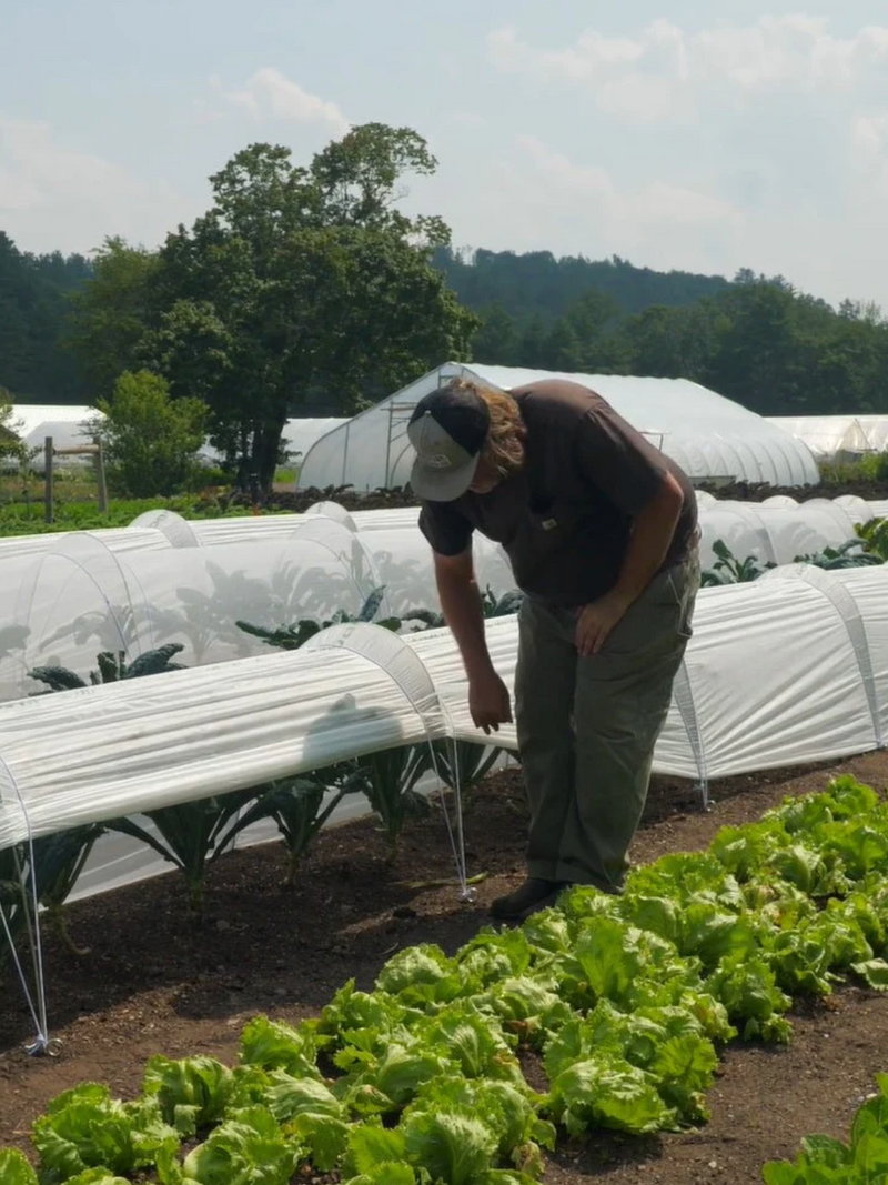 LowCat™ Tunnel Kits & Fine Insect Netting for 3x Market Garden Beds (25-30 metre length)