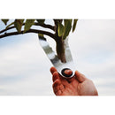 Terrateck Nursery Tree Caliper